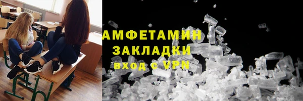 гидра Лагань