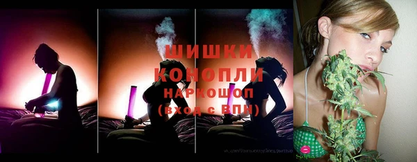 гидра Лагань