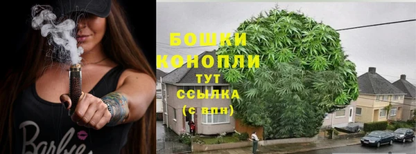гидра Лагань