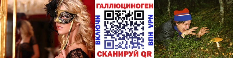 ссылка на мегу ONION  сайты даркнета какой сайт  Галлюциногенные грибы MAGIC MUSHROOMS  где купить наркоту  Темрюк 