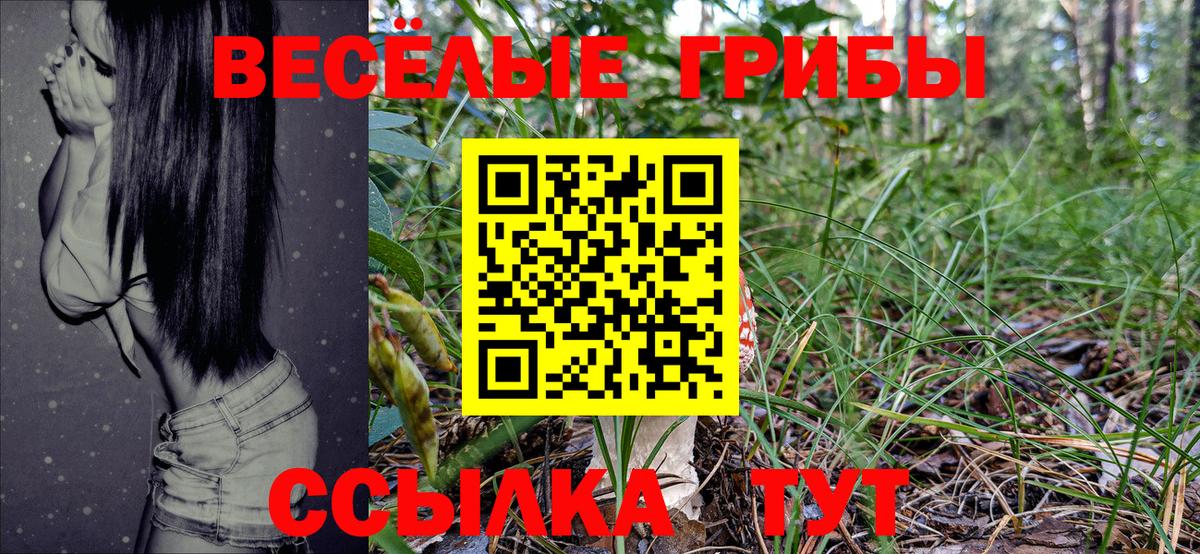 Галлюциногенные грибы прущие грибы Темрюк