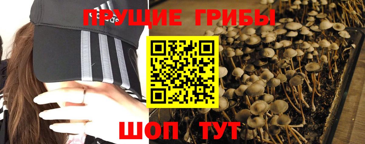 Галлюциногенные грибы мухоморы  цена наркотик  Темрюк  Вход с VPN  Псилоцибиновые грибы Psilocybine cubensis 