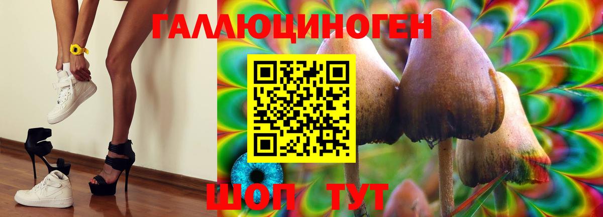 Псилоцибиновые грибы мицелий Темрюк